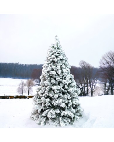 ALBERO DI NATALE Slim 240cm Kettinson INNEVATO CON NEVE SUPER FOLTO  NATALIZIO