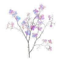fiori