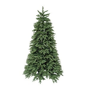 alberi