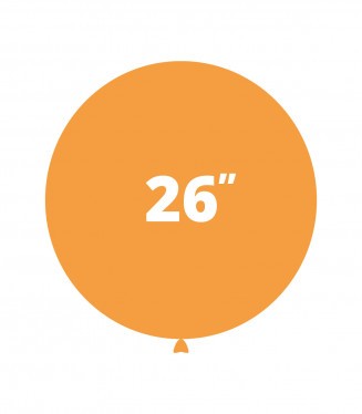 26 pollici