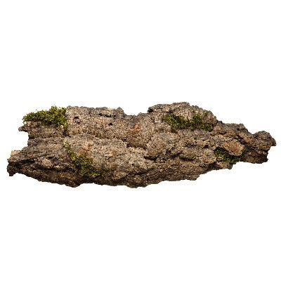 sughero