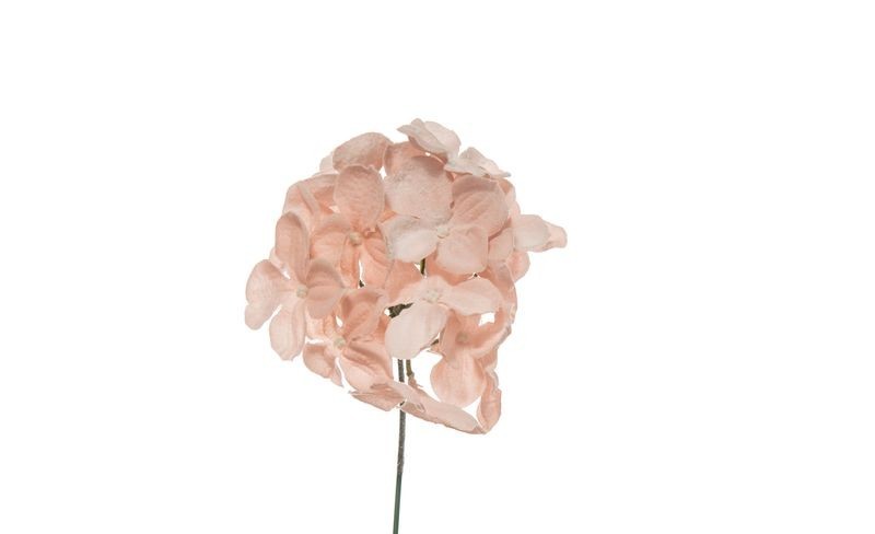 Pick Ortensia innevata 19cm Cipria per decorazioni Natalizie