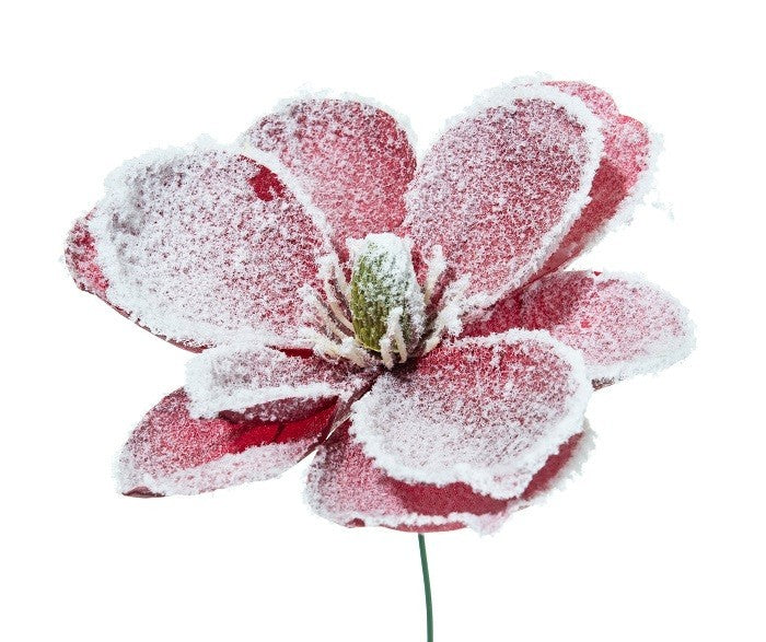 Pick Magnolia Innevata 24cm Burgundy per decorazioni
