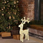 Renna di Cristalli Acrilico 100 LED 4m+H70cm