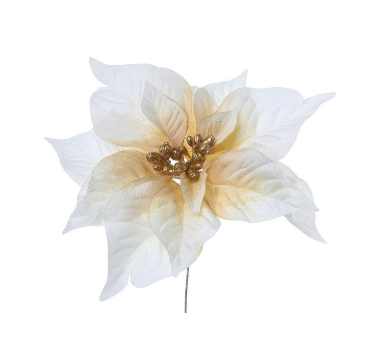 Pick Poinsettia Crema