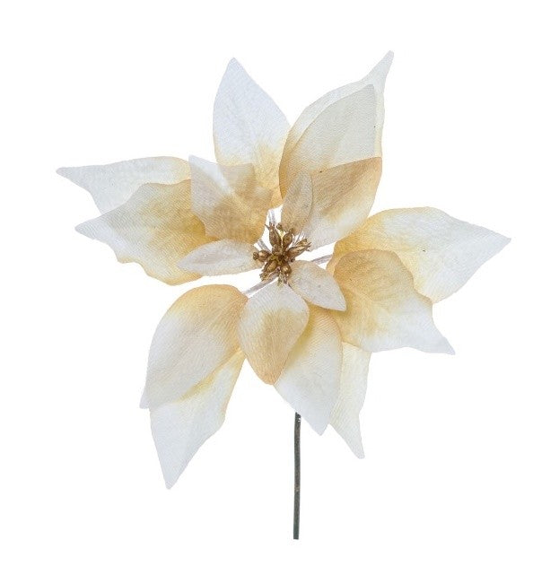 Pick stelo Poinsettia Crema