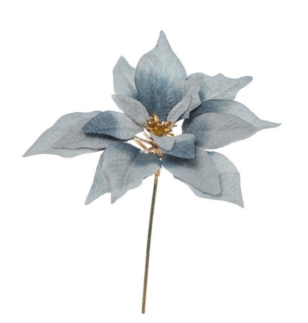 Pick stelo Poinsettia Blu