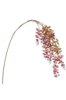 Tralcio Glicine Rosa
