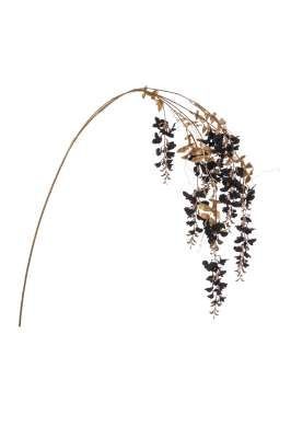 Tralcio Glicine Nero