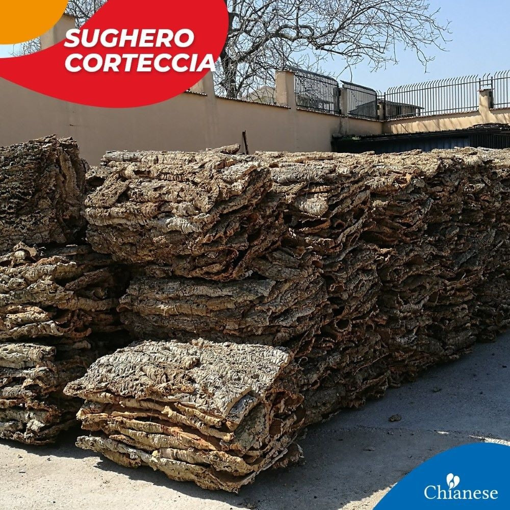 Sughero per presepe corteccia naturale per terrari artigianali fai da te al Kg