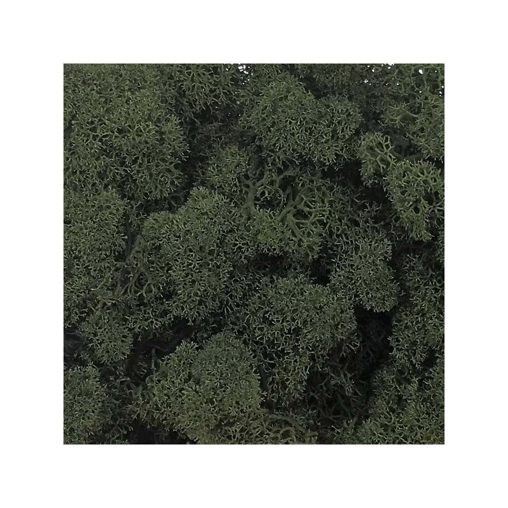 Muschio nordico stabilizzato Verde muschio 500gr