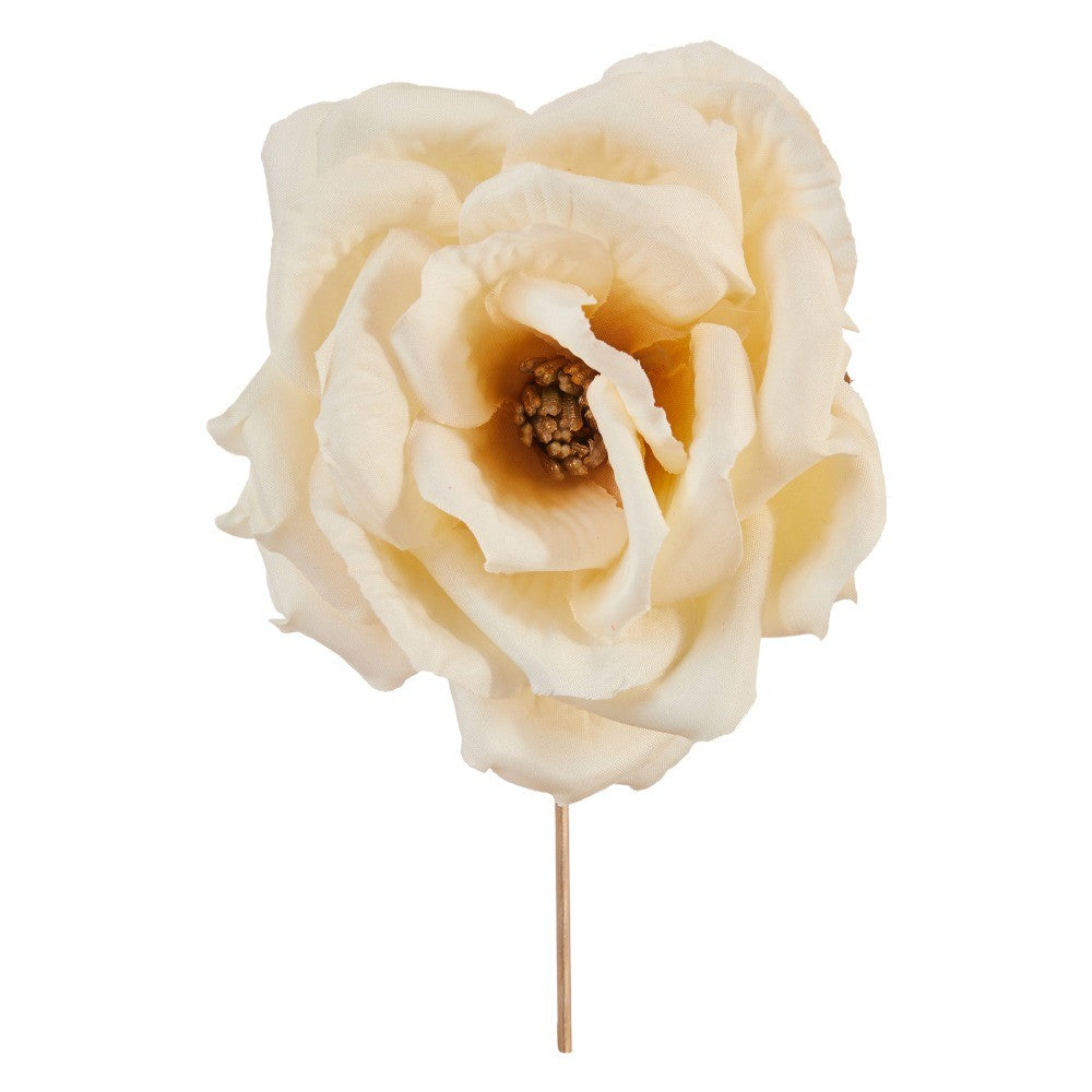 PICK ENGLISH ROSE CRM
