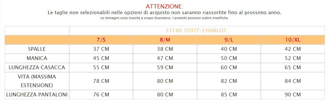 Alt immagine