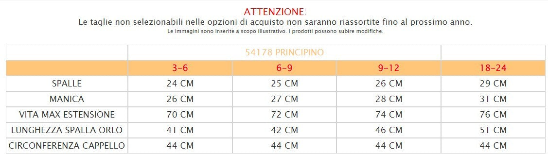 Costume di carnevale principino