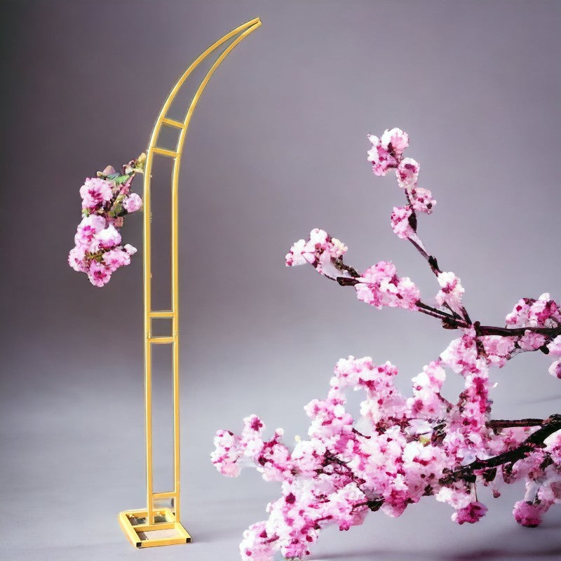 Alt immagine