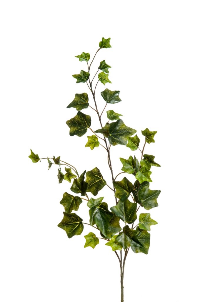 Tralcio edera 69 cm per allestimento