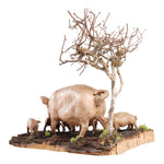 Scrofa con maialini per presepe da 35 cm