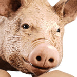 Scrofa con maialini per presepe da 35 cm