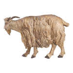 01_058211_20998.jpeg (21000092)