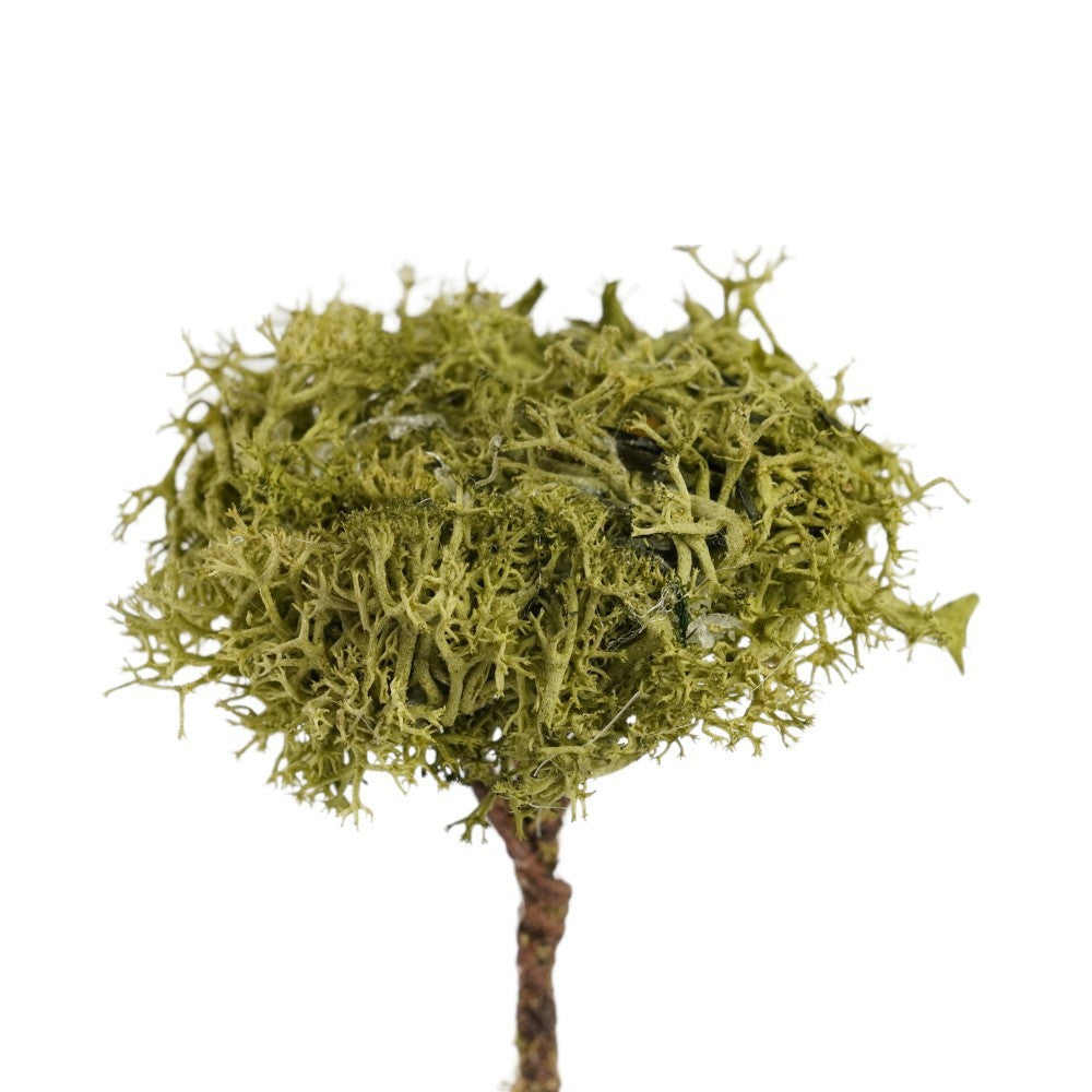 01_003485_21245.jpeg (20996473)