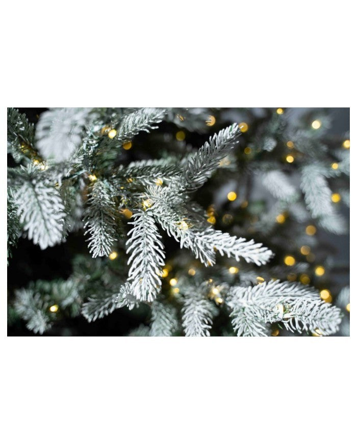 01_059908_24514.jpeg (20996446)