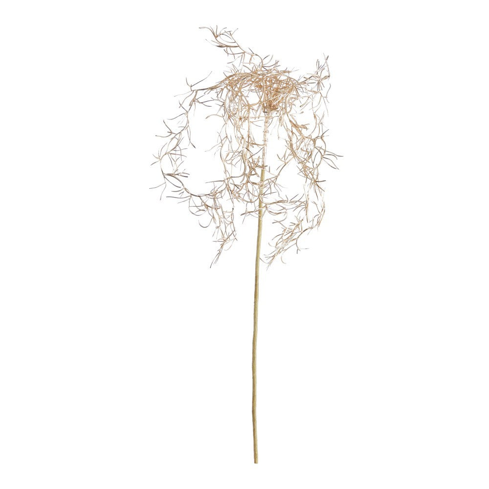 Tralcio Tillansia Oro