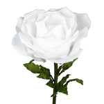 ROSA DIAM. 75 CM - STELO CM 130 BIANCO