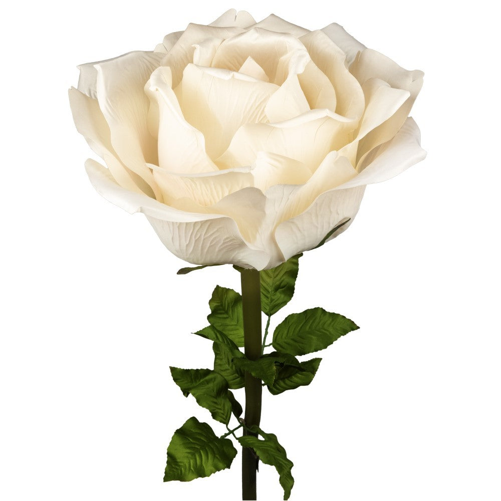 ROSA DIAM. 75 CM - STELO CM 130 CIPRIA