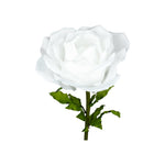 ROSA DIAM. 50 CM - STELO CM 110 BIANCO