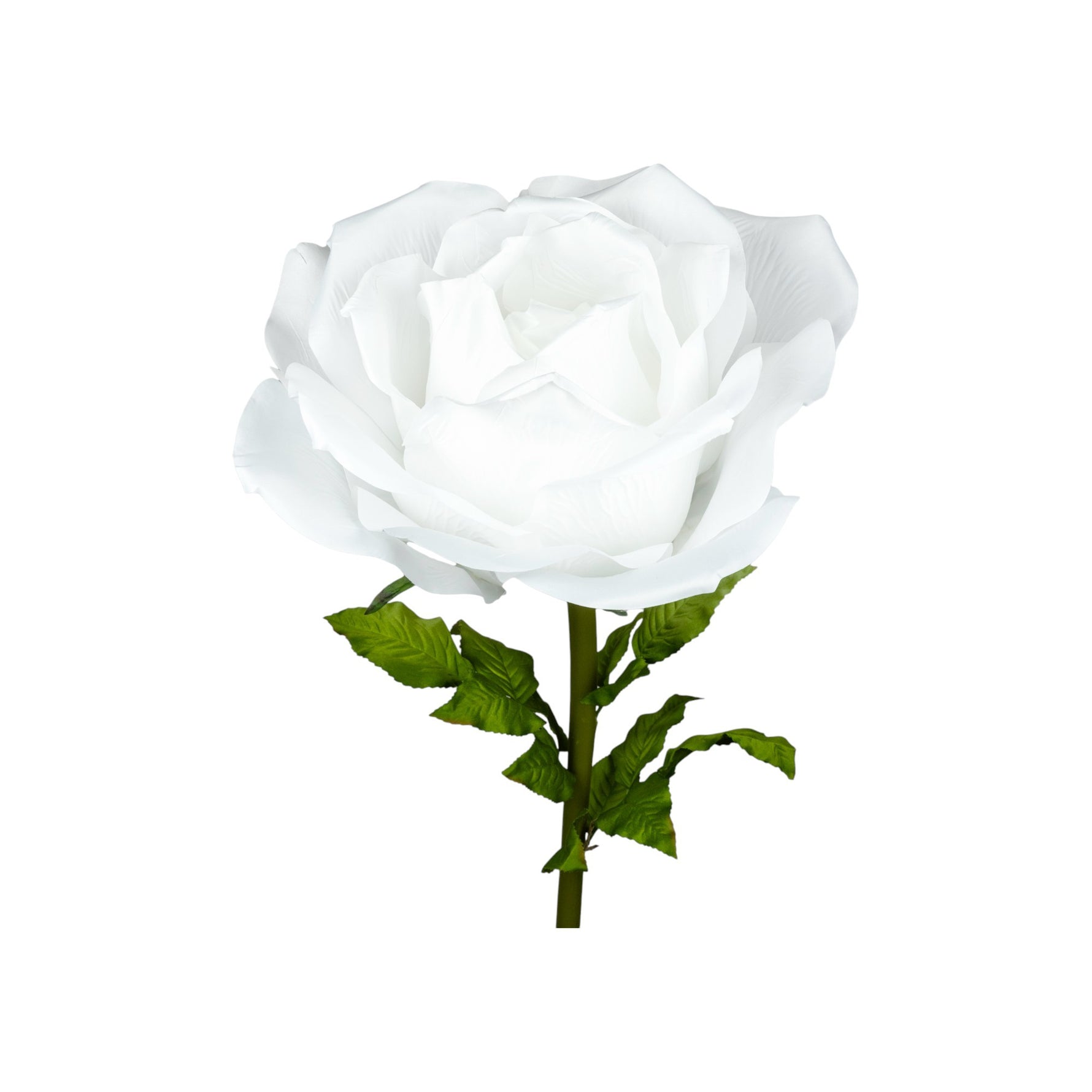 ROSA DIAM. 50 CM - STELO CM 110 BIANCO