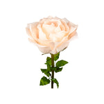 ROSA DIAM. 50 CM - STELO CM 110 CIPRIA