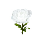 ROSA DIAM. 37 CM - STELO CM 100 BIANCO