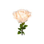 ROSA DIAM. 37 CM - STELO CM 100 CIPRIA