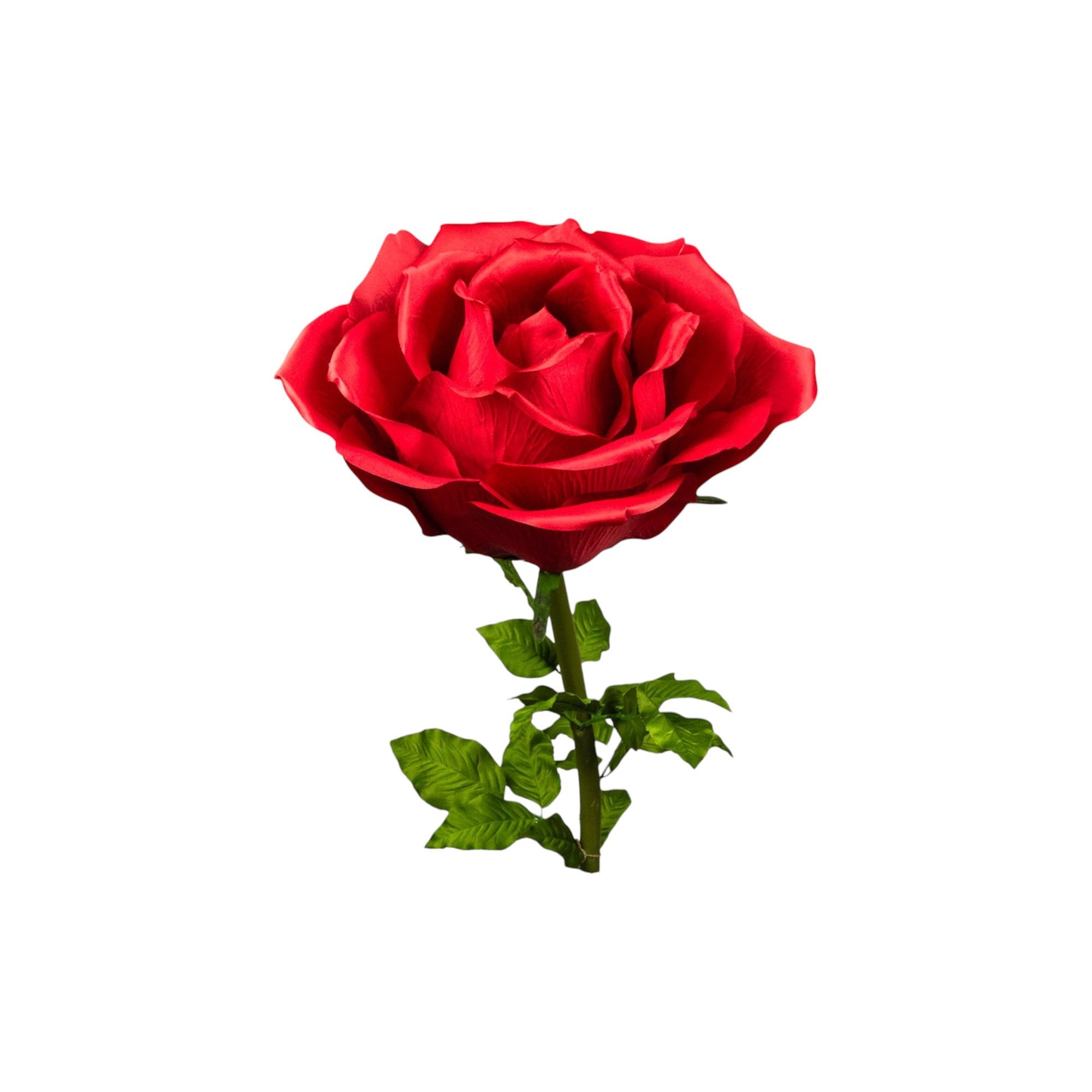 ROSA DIAM. 37 CM - STELO CM 100 ROSSO