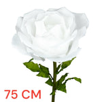 ROSA DIAM. 75 CM - STELO CM 130 BIANCO