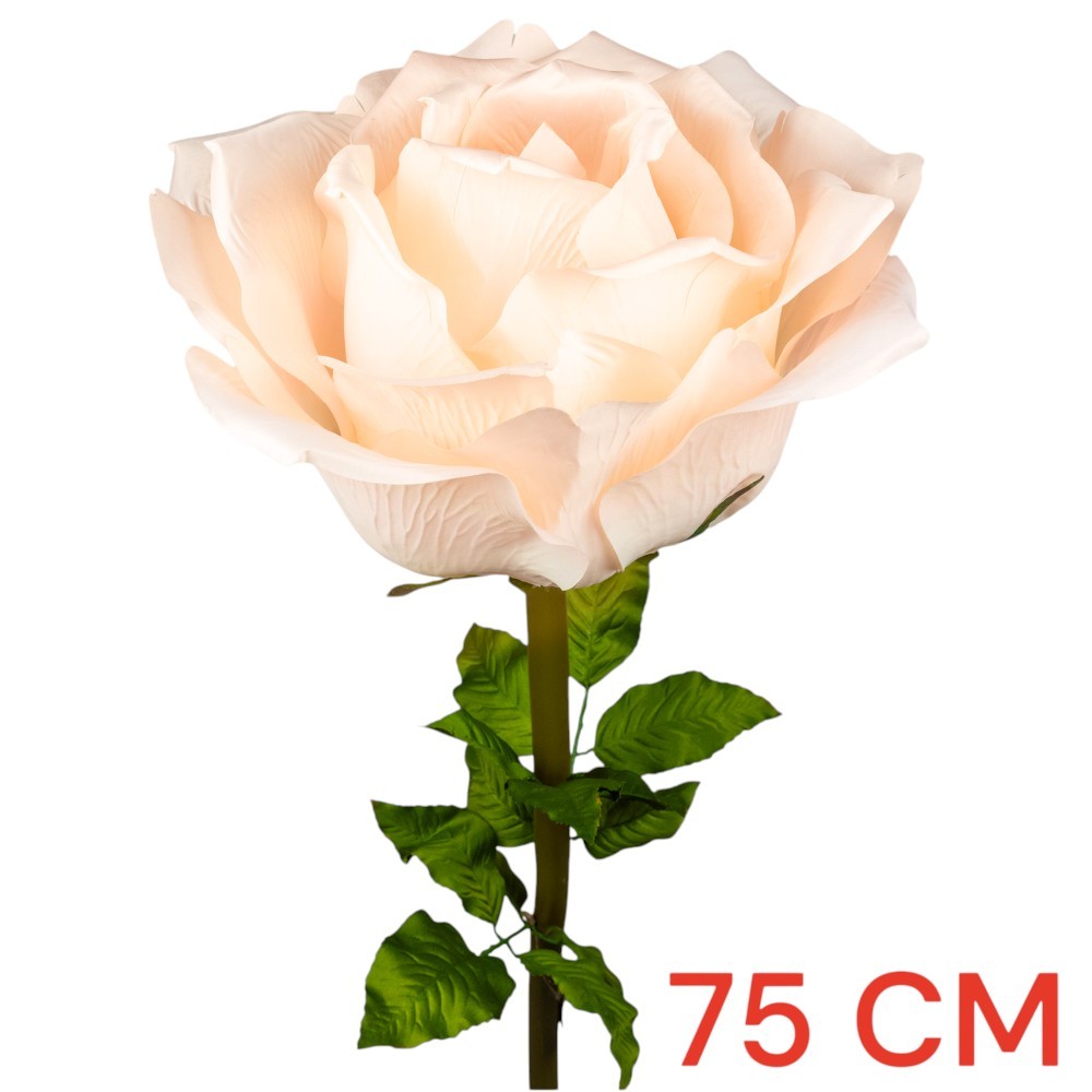 ROSA DIAM. 75 CM - STELO CM 130 CIPRIA
