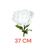 ROSA DIAM. 37 CM - STELO CM 100 BIANCO