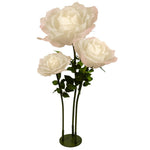ROSA DIAM. 37 CM - STELO CM 100 CIPRIA