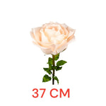 ROSA DIAM. 37 CM - STELO CM 100 CIPRIA