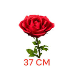 ROSA DIAM. 37 CM - STELO CM 100 ROSSO