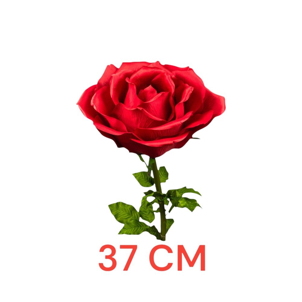 ROSA DIAM. 37 CM - STELO CM 100 ROSSO