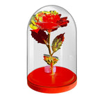 Rosa LED in campana