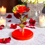 Rosa LED in campana