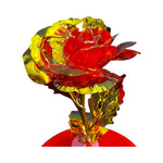 Rosa LED in campana