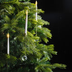 01_061581_29969.jpeg (20999403)