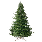 01_059930_29985.jpeg (20996261)