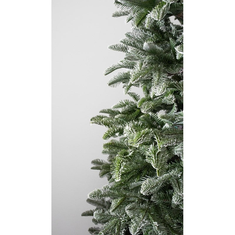 01_061565_30040.jpeg (20996311)