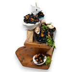 01_061642_30327.jpeg (20997311)