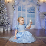 Costume di Carnevale Reginetta al Ballo bambina 3-24 mesi