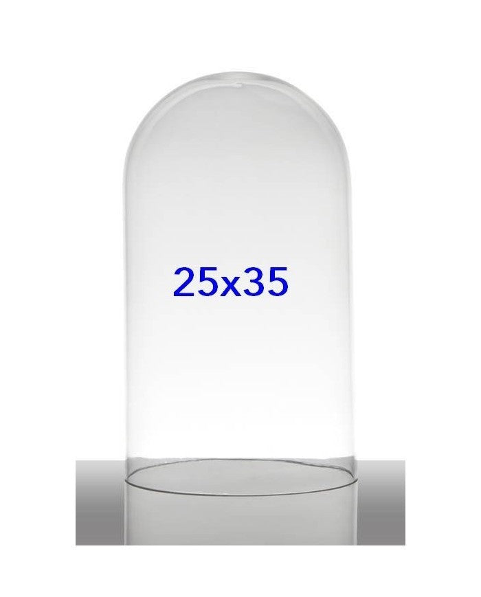 02_000068_32308.jpeg (21006873)